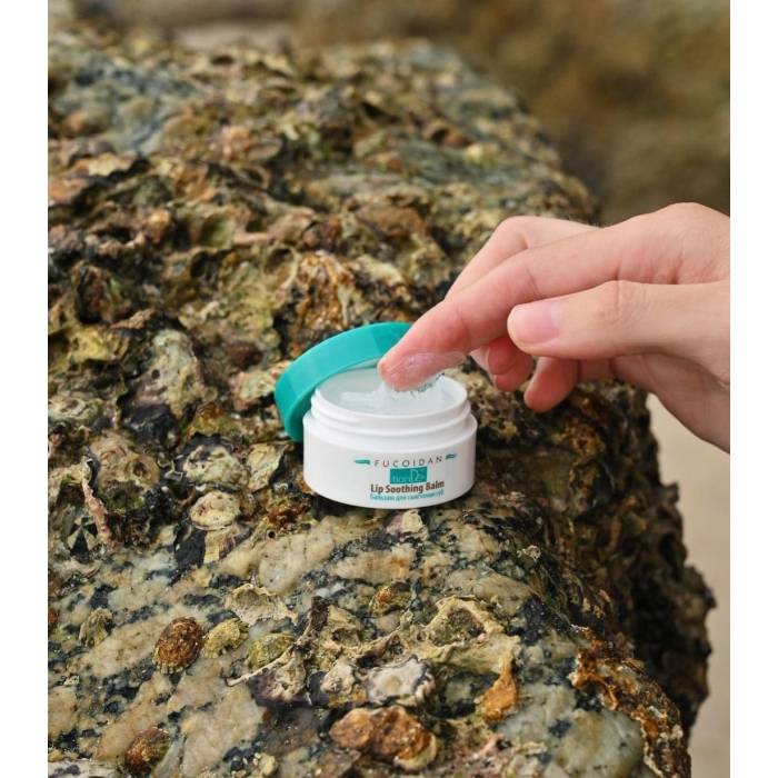 Balsam pentru buze Fucoidan, 10 g